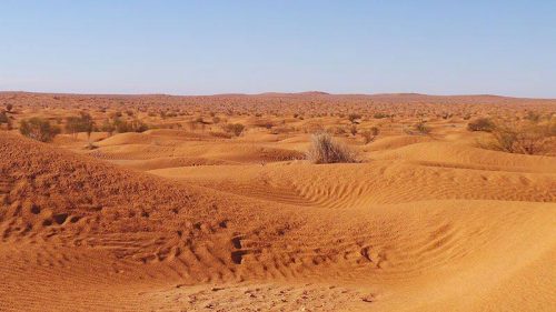 Какие пустыни самые жаркие на Земле - список, характеристика и фото