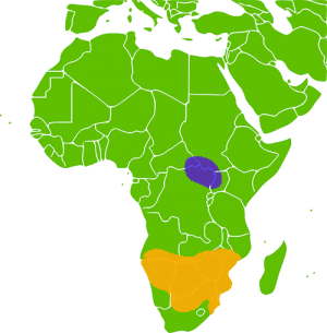 Ареал обитания белых носорогов