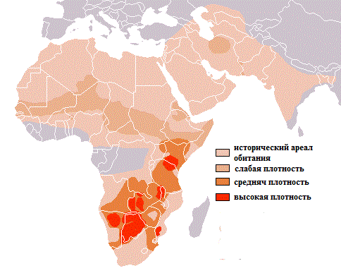 ареал обитания гепардов