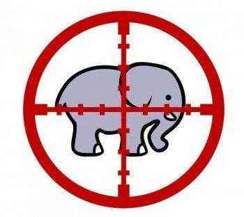 слон под прицелом