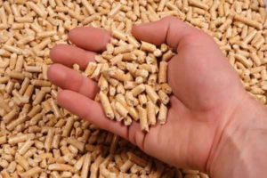 наполнитель-туалета-для-животных