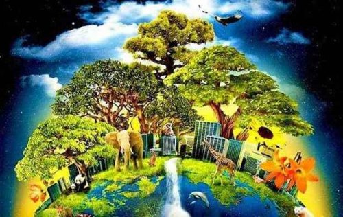 Краткая характеристика уровней организации жизни на Земле