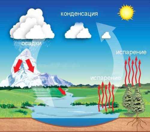 Куда текут реки? Окружающий мир