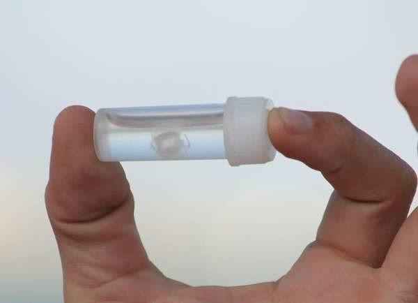 Медуза ируканджи