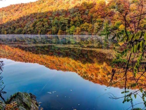 Природа, флора и фауна Австрии — характеристика и фото