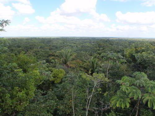 Характеристика палеогенового периода (66-23 млн лет назад)