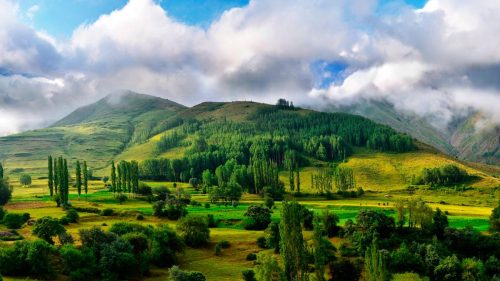 Каково значение растений в природе и жизни человека? 7 причин, почему растения важны