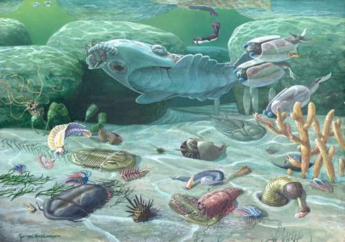 Как развивалась жизнь на нашей планете? История жизни на Земле