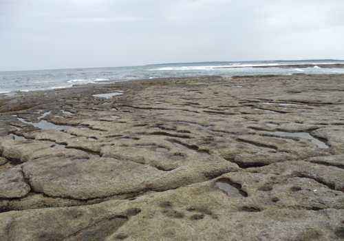 Кембрийско-Ордовикское вымирание