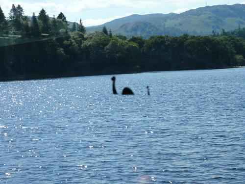 Лох-несское чудовище - потомок выживших динозавров