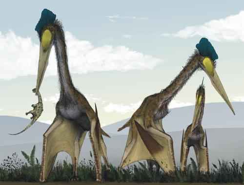 Птерозавры