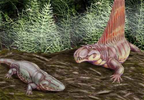 древнии амфибии