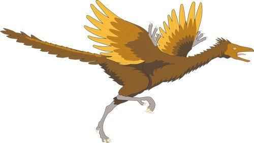 птицы-потомки динозавров