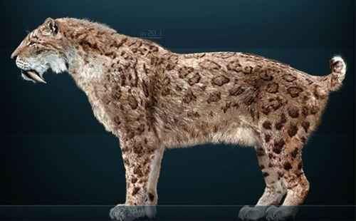 реконструкция саблезубого тигра