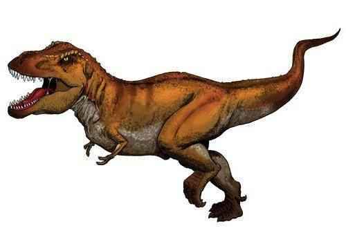 рисунок-(картинка)-Тиранозавра-Рекс