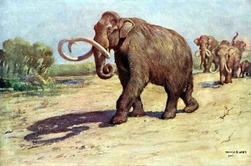 рисунок мамонтов