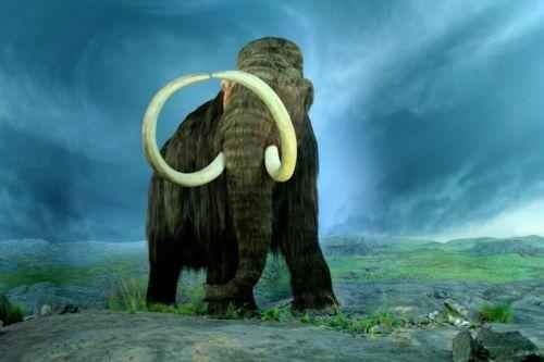 Доклад-сообщение на тему: "Мамонт"