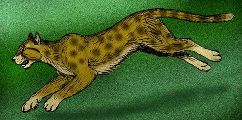 Мирациноникс (Американский гепард)