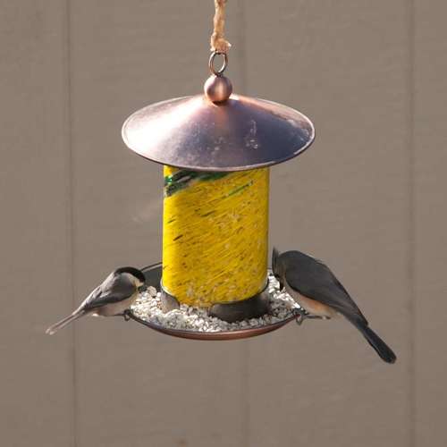 Острохохлатые синицы в кормушке