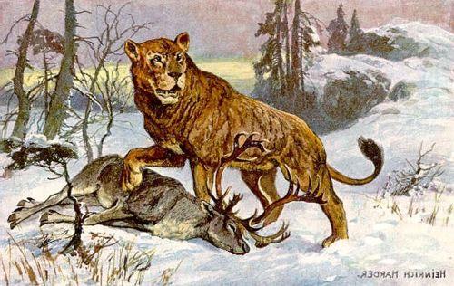 Пещерный лев