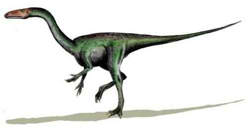segisaurus