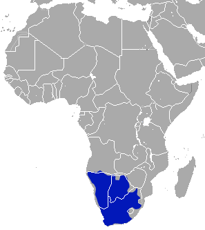 ареал обитания жёлтого или лисицевидного мангуста на карте