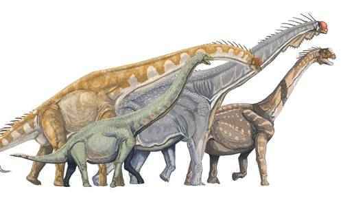 Интересные научные факты о динозаврах с картинками