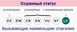 охранный статус Острохохлатой синицы