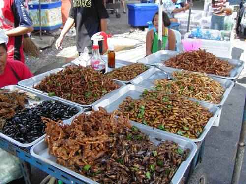 zharennye-chlenistonogie