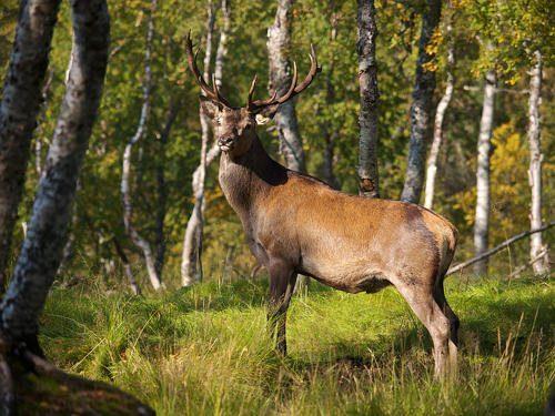 Взаимосвязь общества и природы - особенности, этапы развития и современные проблемы