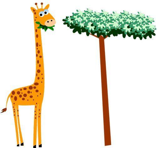 ТОП 10 самых интересных фактов о жирафах