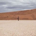 биомы пустыни, пустыня, сухое дерево, гора, небо, облака, пейжаз