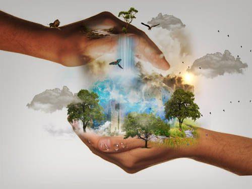 Экология России: список проблем и защита окружающей среды в стране