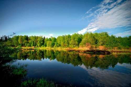Внутренние воды России – виды, особенности и значение