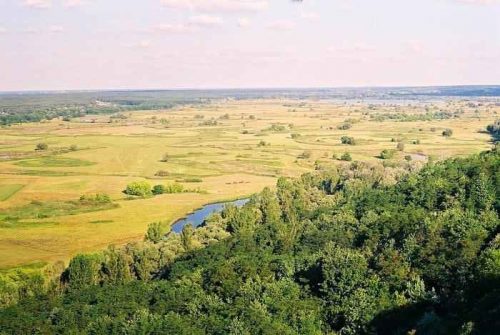 Доклад-сообщение на тему: "Природные зоны России"