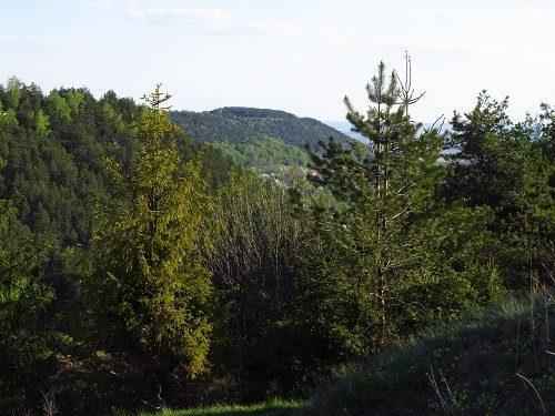 Области высотной поясности, или высотной зональности