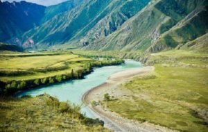 Растительный мир Азии: описание, названия и фото