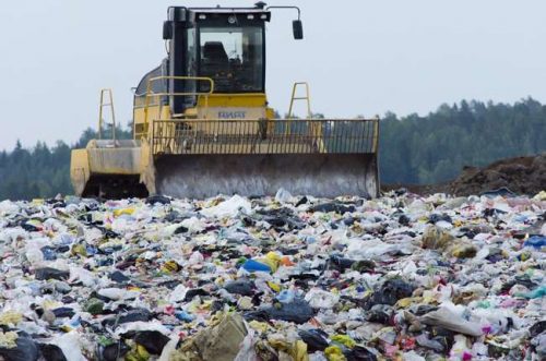 Экология России: список проблем и защита окружающей среды в стране