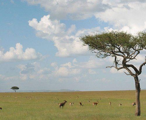 Какие природные зоны есть на Земле? Карта, список, характеристика и фото