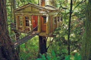 Растительный мир, или флора Земли