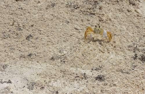 Естественная (природная) экосистема - описание, признаки, виды и примеры