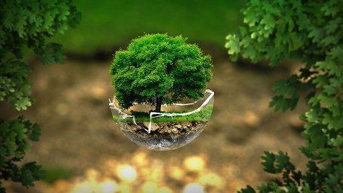 Экология России: список проблем и защита окружающей среды в стране