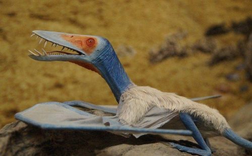 Характеристика палеогенового периода (66-23 млн лет назад)