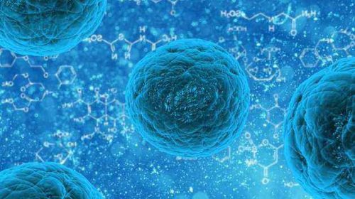 Каково значение биологии в жизни людей?