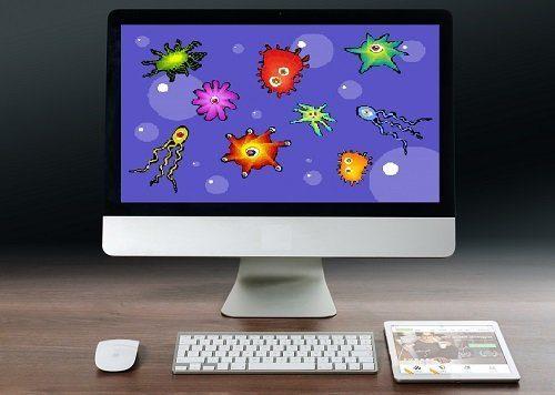 Самые интересные и увлекательные факты про бактерий