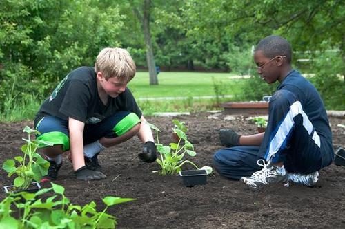 Самые интересные и увлекательные факты про бактерий