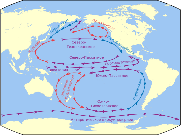 Характерные черты природы Тихого океана