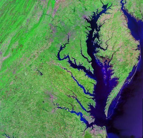 Что в географии называют эстуарием? Определение, примеры и типы