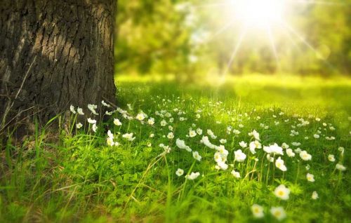 Какие изменения происходят в природе при смене времен года на Земле?