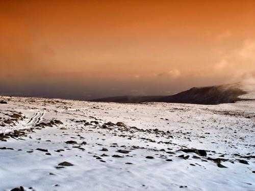 Доклад-сообщение на тему: "Природные зоны России"